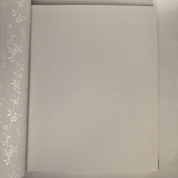 Andrea Rossi Berggi 54450-4