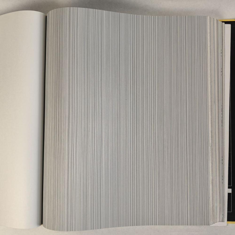 Andrea Rossi Cavolli 54425-6