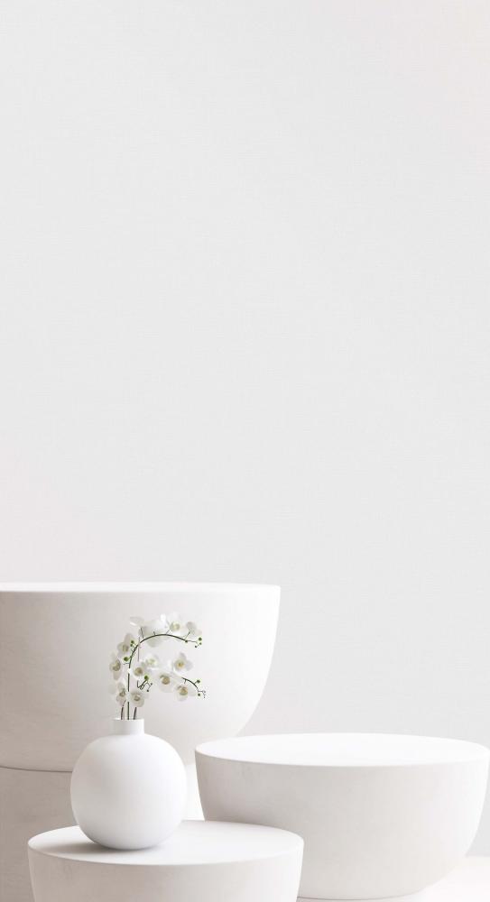 Andrea Rossi Spectrum Box 54459-5