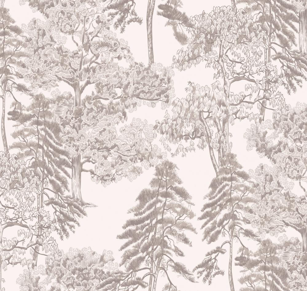 Milassa Ambient AM5 001/1